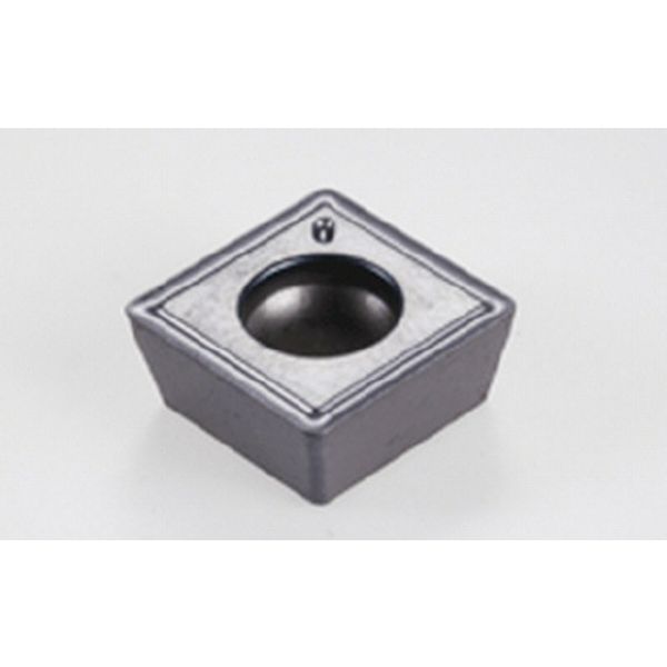 C チップ COAT 10個入り