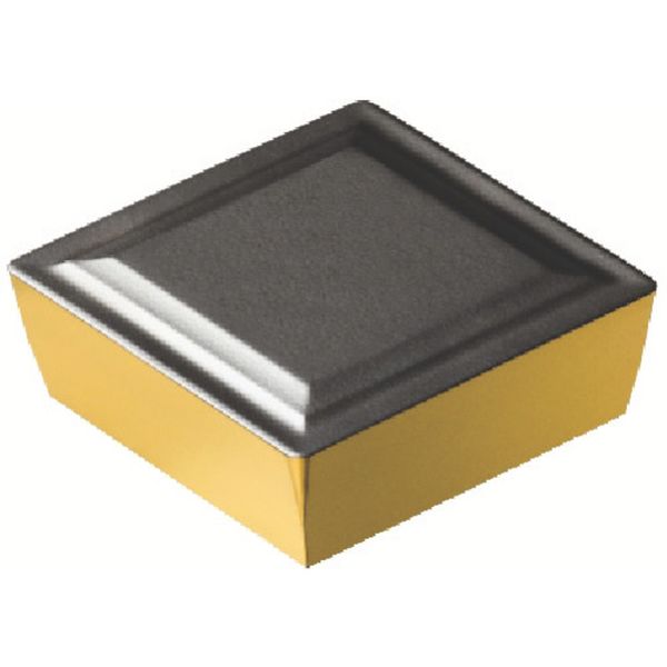 090308   T-MAXPチップ COAT 10個入り