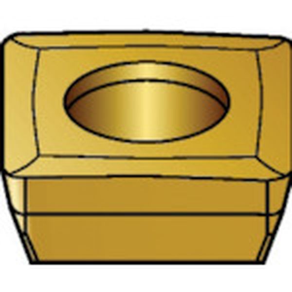 フライス用チップ COAT 10個入り