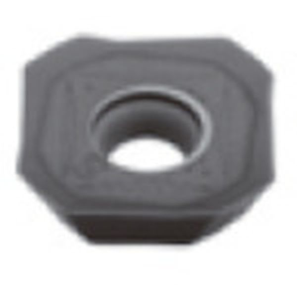 転削用K.M級TACチップ COAT 10個入り