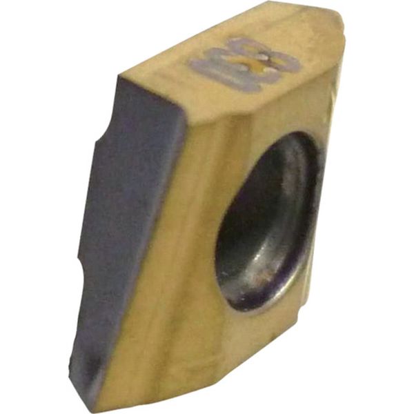 C チップ COAT 10個入り