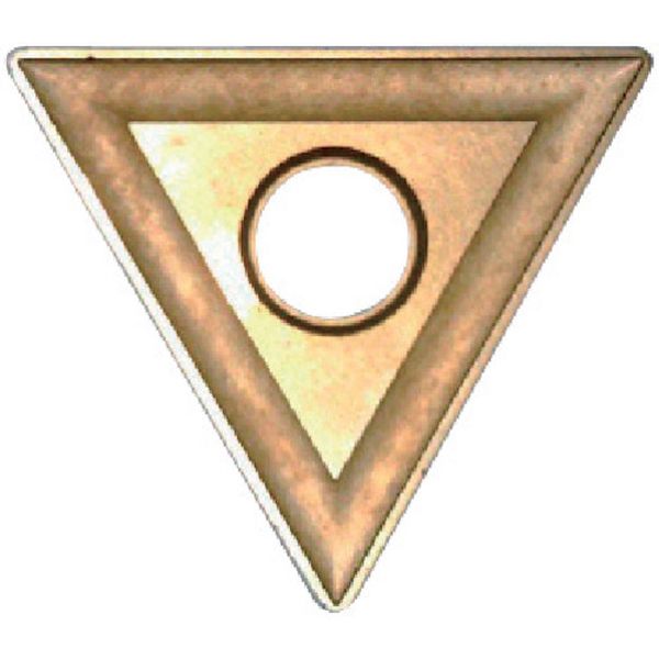 C面取り用並級チップ 超硬M種 TiNコーティング COAT 12個入り