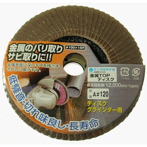 118-4819  金属TOPディスク100X15A120
