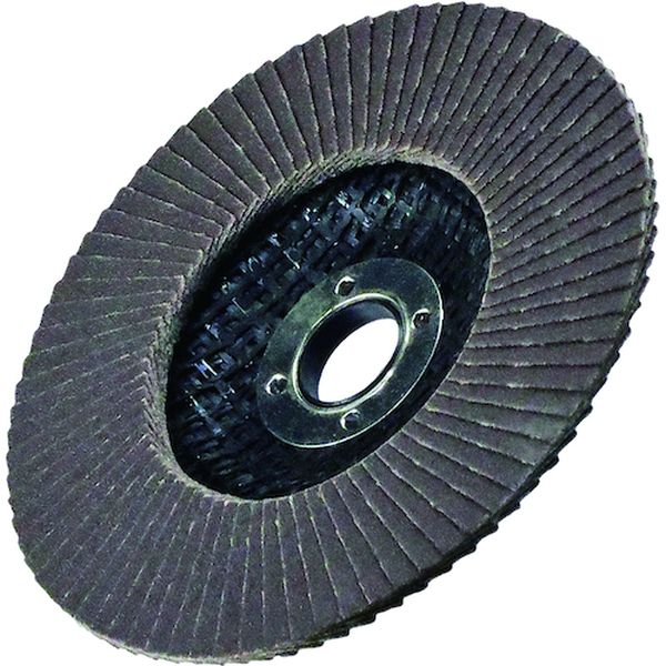 419-2939  金属TOPディスク100X15A60