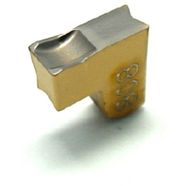 A TNG突/チップ COAT 10個入り