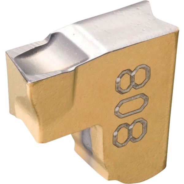 A TNG突/チップCOAT 10個入り