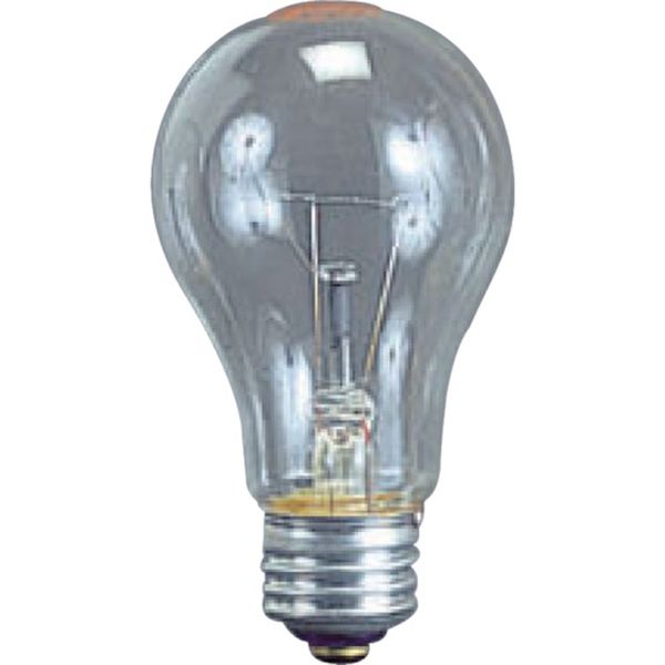 耐振電球１００Ｗ　（ＩＬＩ、ＫＬ型用）