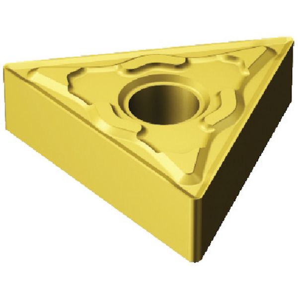 チップ COAT 10個入り