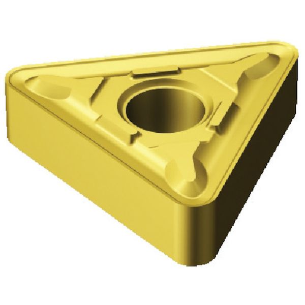 220416MR   チップ COAT 10個入り