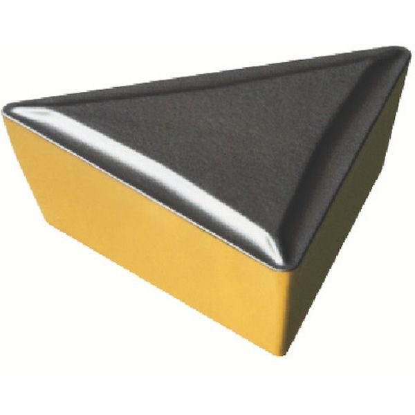 11030853   T-MAXPチップ COAT 10個入り