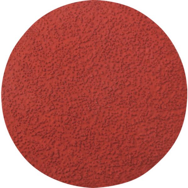 TSD987C80102  キュービトロン2 TSディスク 987C 102mm ＃80 25枚入り