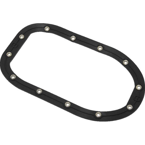 Twin Power 06-17 Dyna Models Fuel Pump Plate Seal Viton Replaces H-D 75248-04
