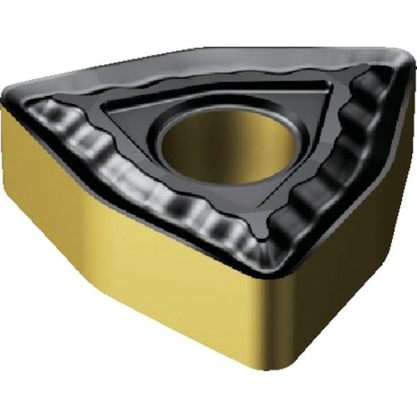 080404QM   T-MAXPチップ 4315 COAT 10個入り