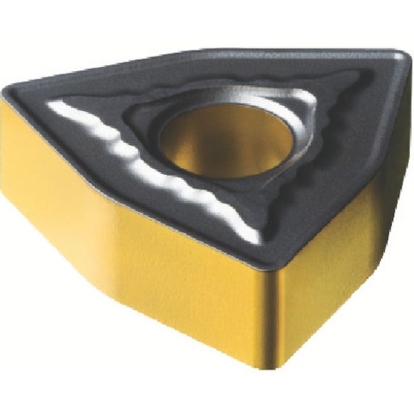 080412MR   T-MAXPチップ COAT 10個入り