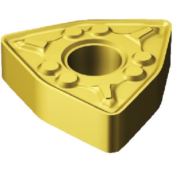 チップ COAT 10個入り