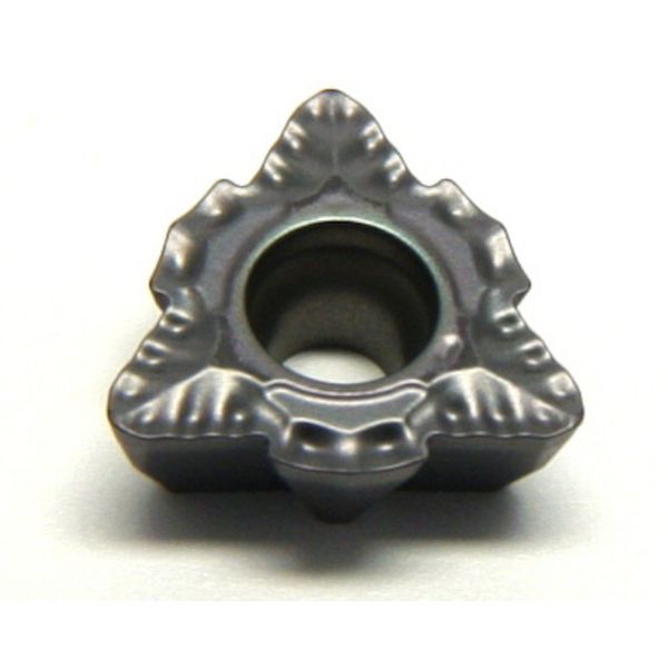 C チップ COAT 10個入り