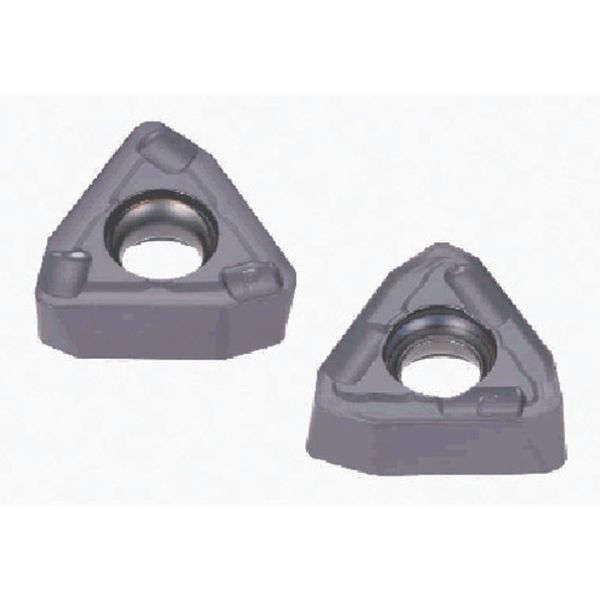 TACチップ 10個入り