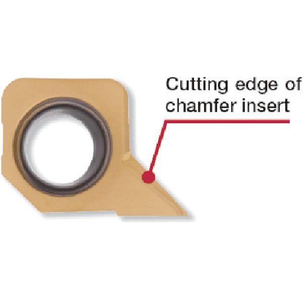 TACドリル用TACチップ 2個入り