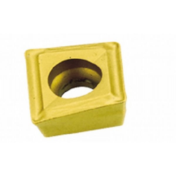 C チップ COAT 10個入り