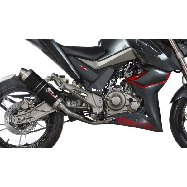 フルエキゾースト GP 触媒なし 21年-24年 ZT 125 G1 ブラックステンレス