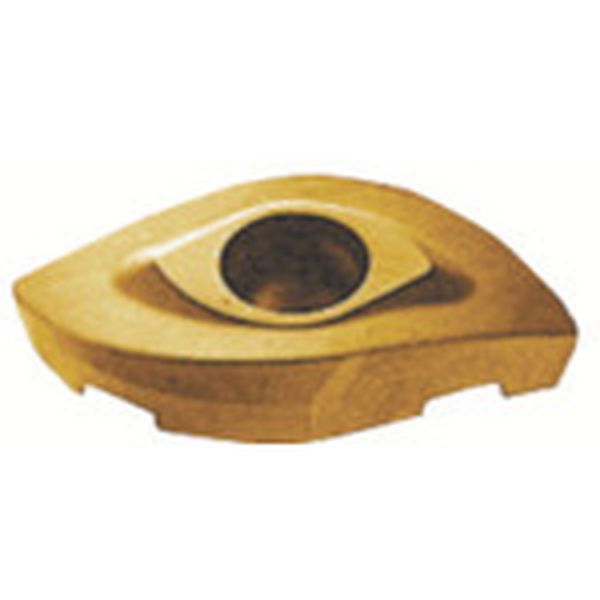 カッタ用チップ   HC844 10個入り