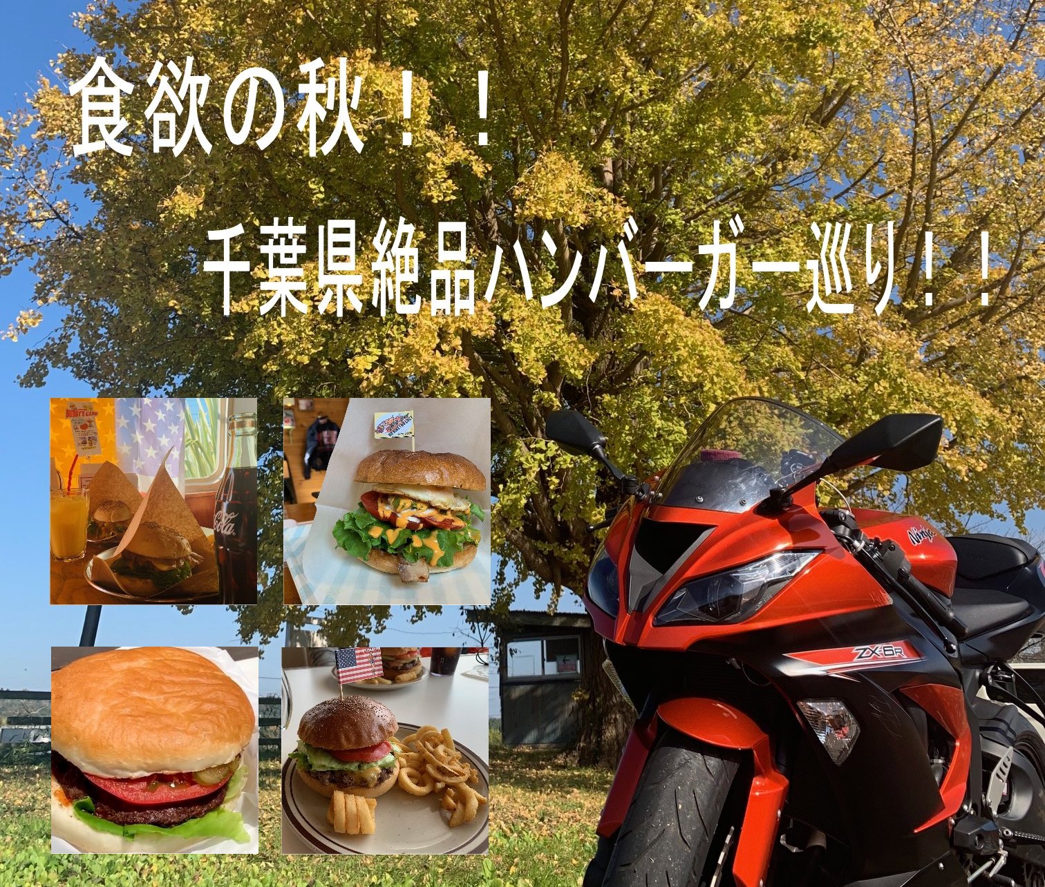 食欲の秋！腹ペコライダー必見！千葉県絶品ハンバーガー巡り