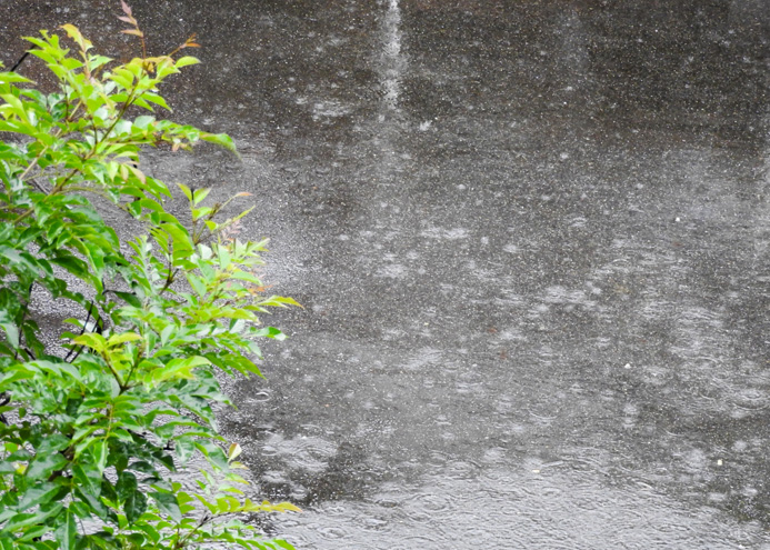 梅雨到来！ レインアイテムのご紹介