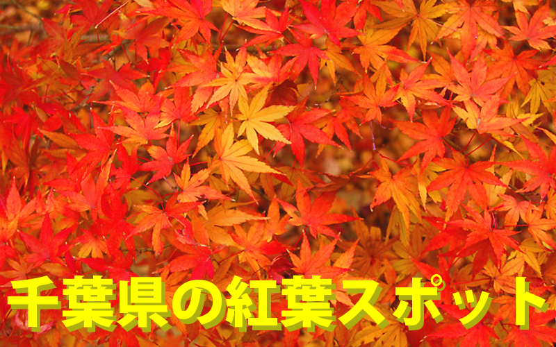 ツーリングにおすすめ 千葉の紅葉スポット