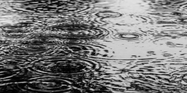 梅雨の前に揃えておきたいレインアイテム特集！